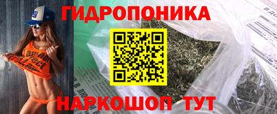 крисы Будённовск