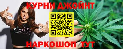 крисы Будённовск