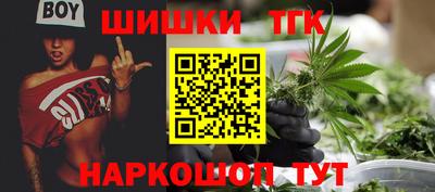 крисы Будённовск