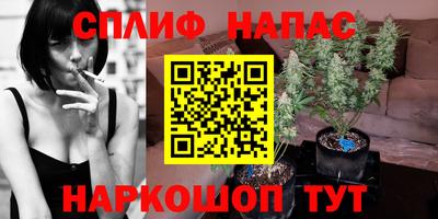 крисы Будённовск